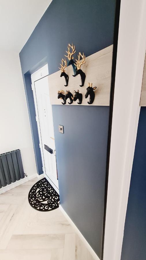 Апартаменти Beautiful 2Bed House With Garden, Walking Distance To Town - Free Parking Глазго Екстер'єр фото